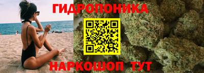 гашик Татарск