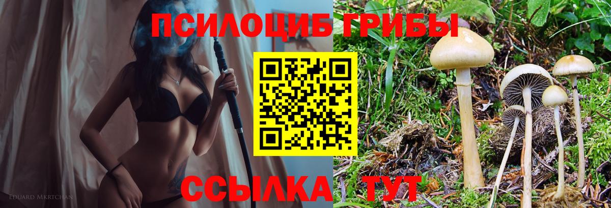 Псилоцибиновые грибы мухоморы  цена   Ливны  Вход с VPN 